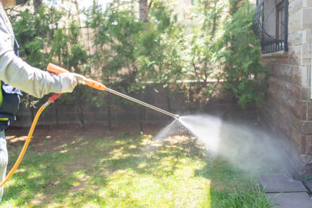 Emergency Pest Control in Broadview Park, FL